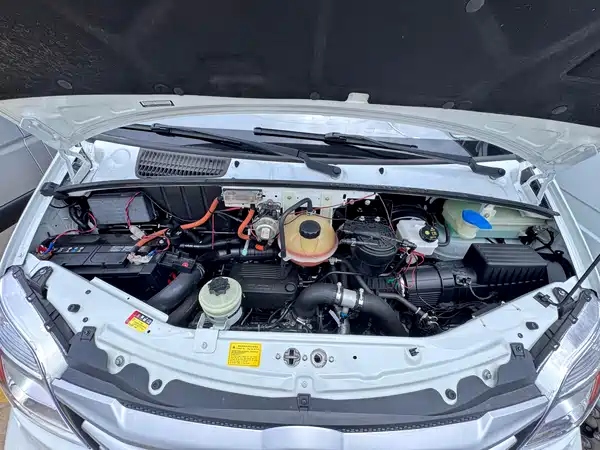 Maxus V80 2020