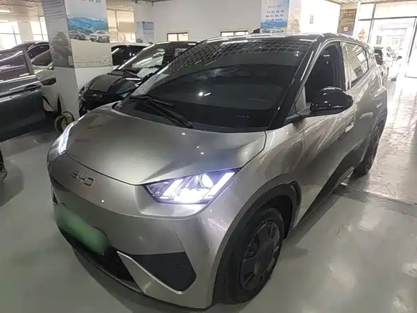 BYD Seagull 2025