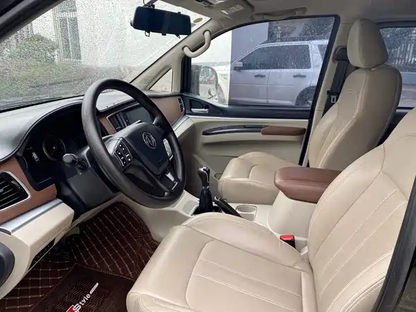 Dongfeng Lingzhi 2020