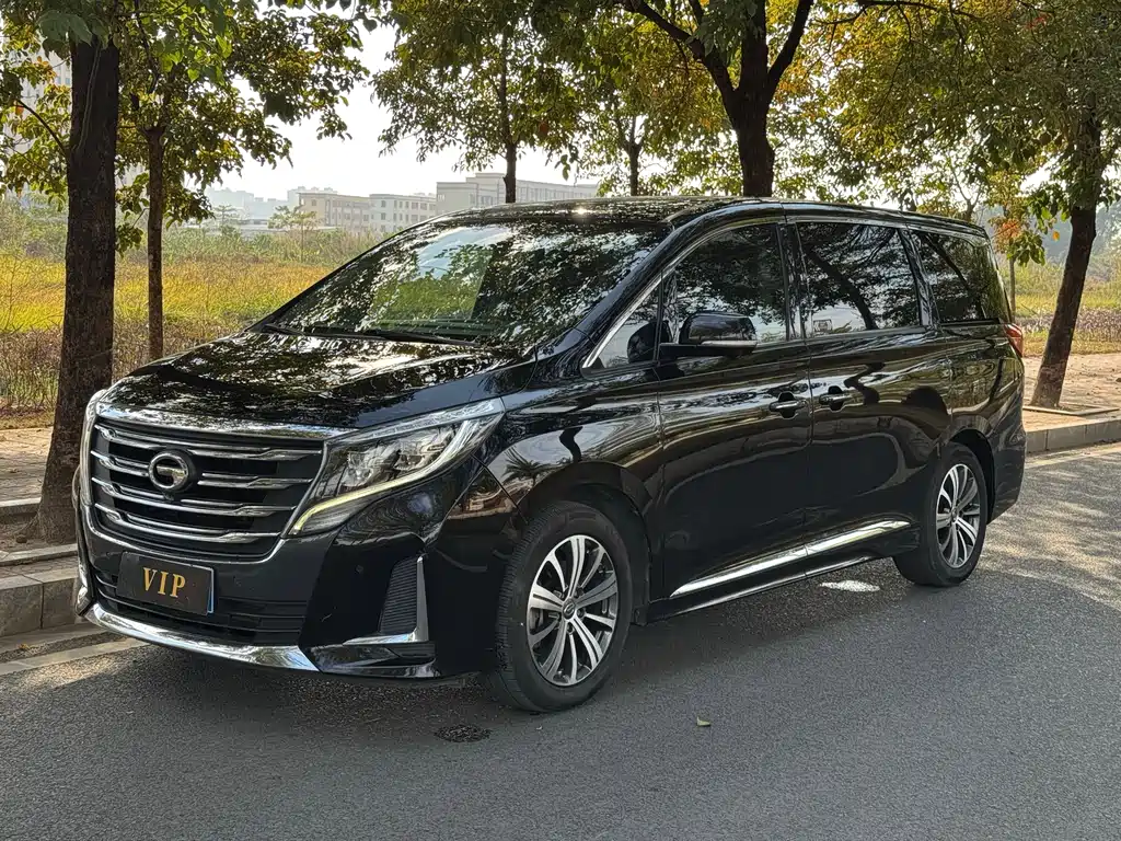 GAC Motor Trumpchi M8 2019 — фото 1