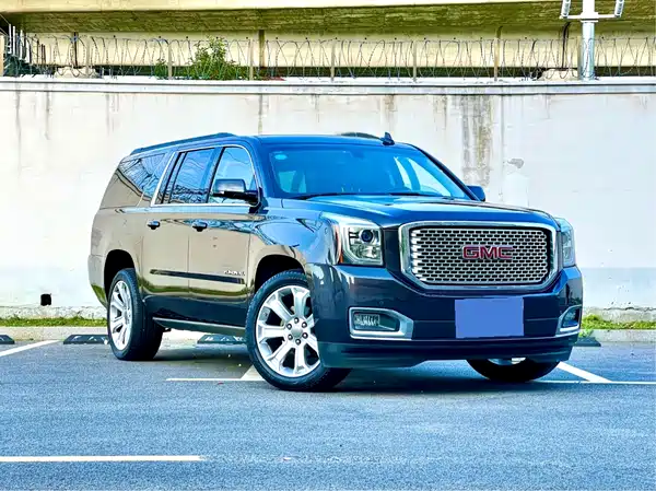 Dolanger Yukon 2016