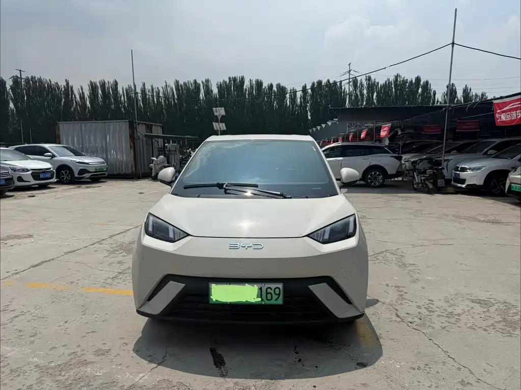 BYD Seagull 2024