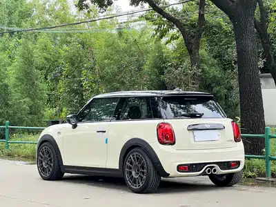 MINI MINI 2020