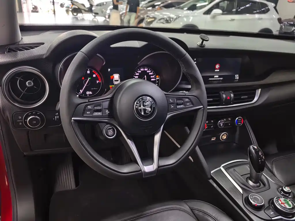 Alfa Romeo Stelvio 2019 — фото 12