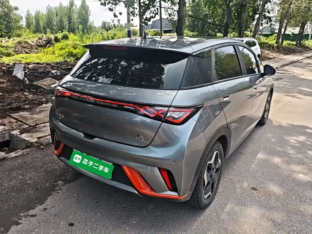 BYD Dolphin 2022