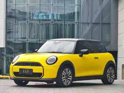 MINI MINI 2025