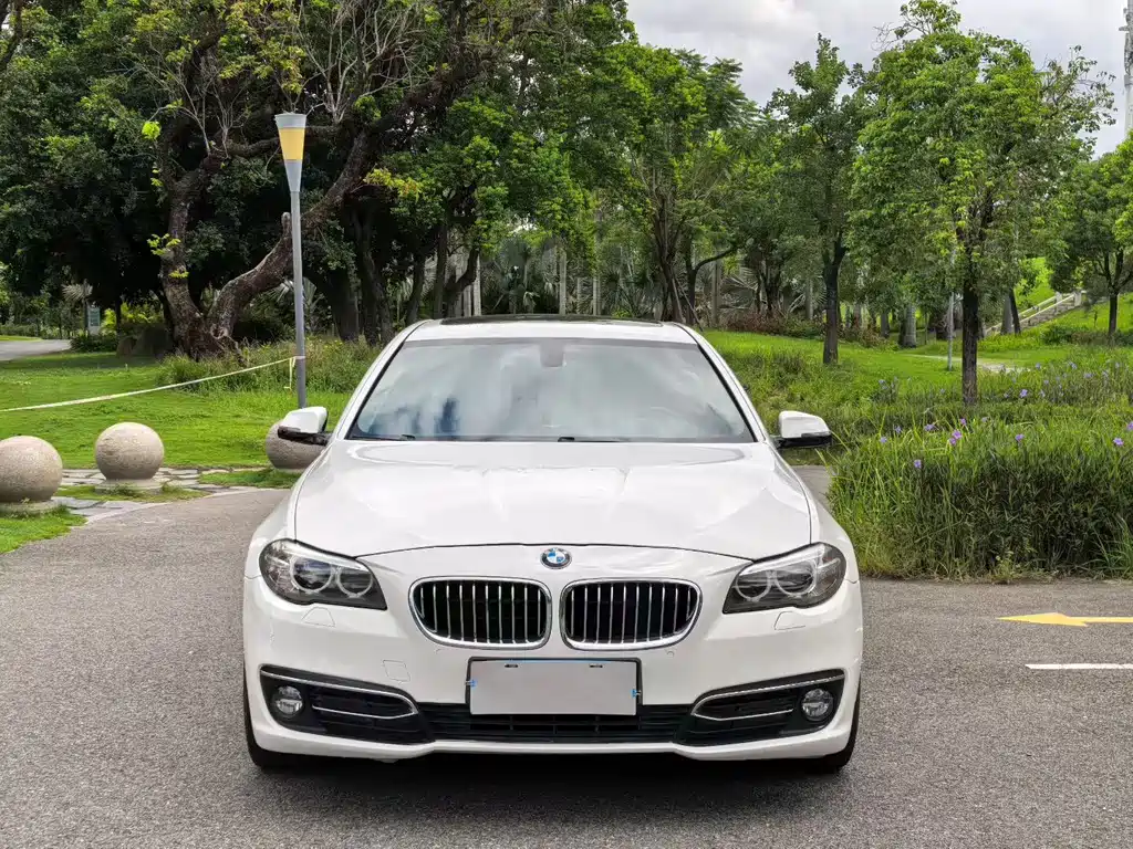 BMW 5 Series 2016 — фото 1