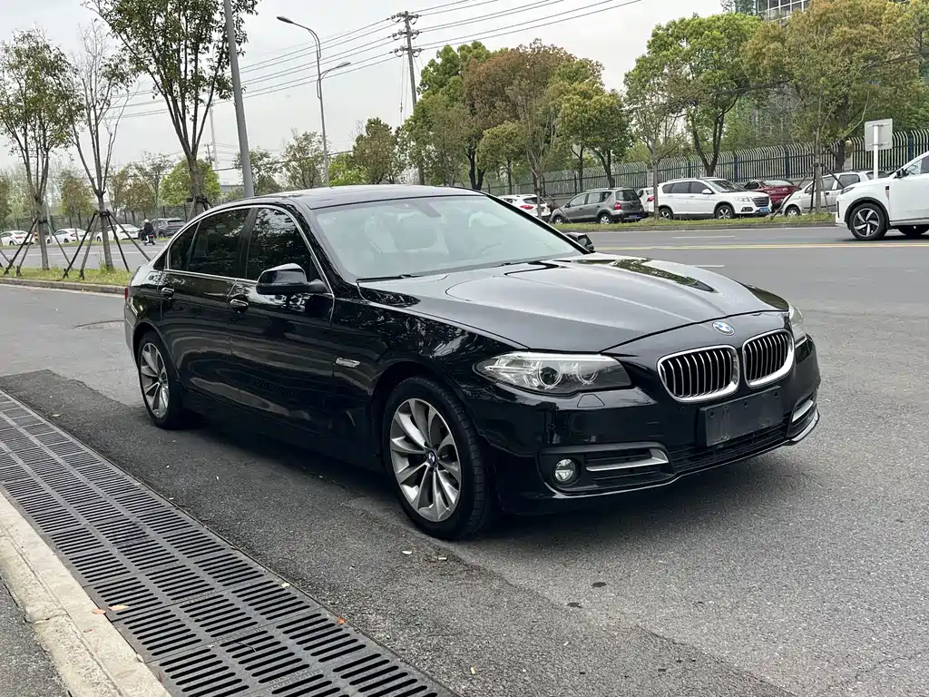 BMW 5 Series 2017 — фото 11