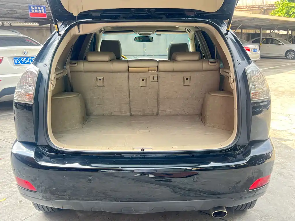 Lexus RX Classic 2008 — фото 13