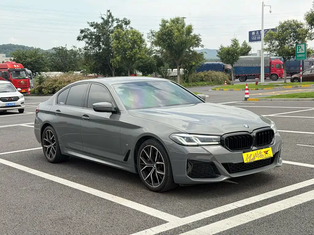 BMW 5 Series 2021
