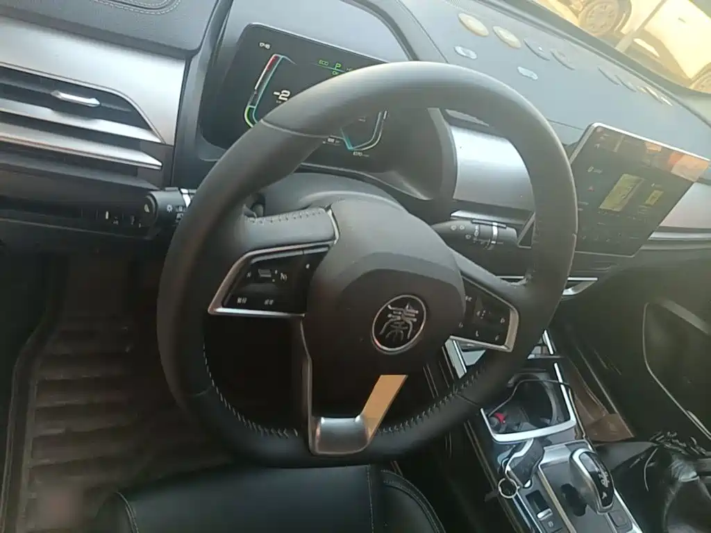 BYD Qin Pro New Energy 2019 — фото 11
