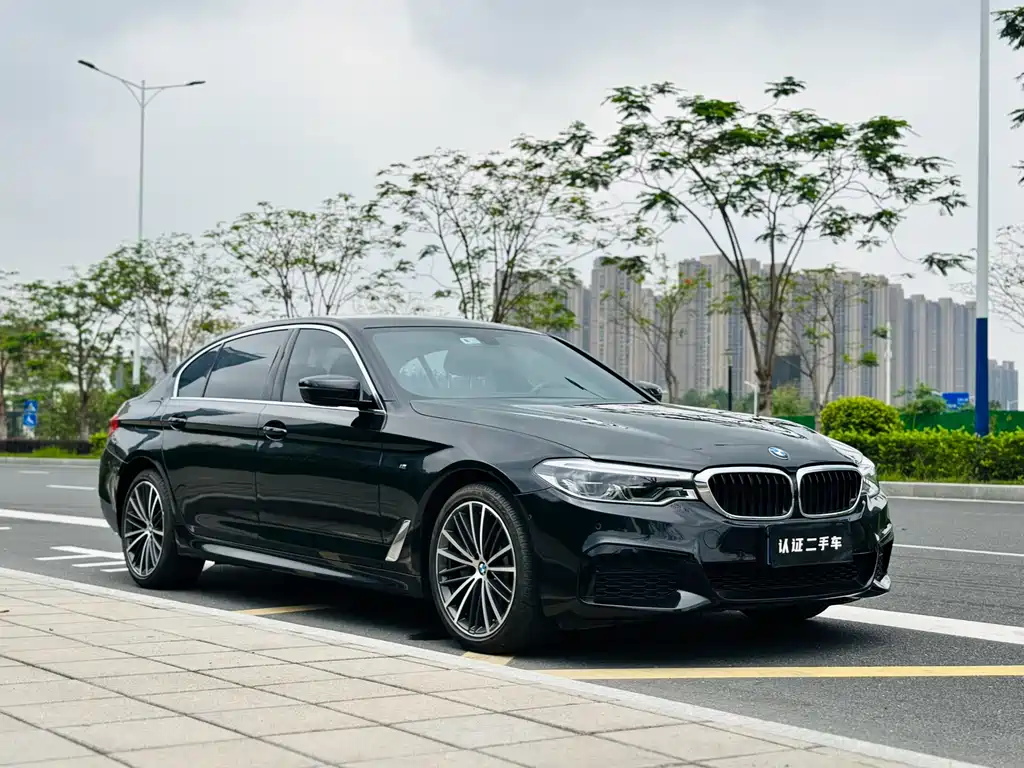 BMW 5 Series 2020 — фото 3