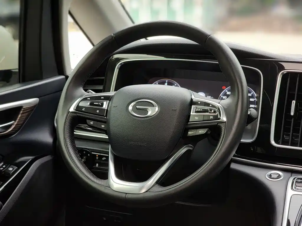 GAC Trumpchi M8 2021 — фото 10