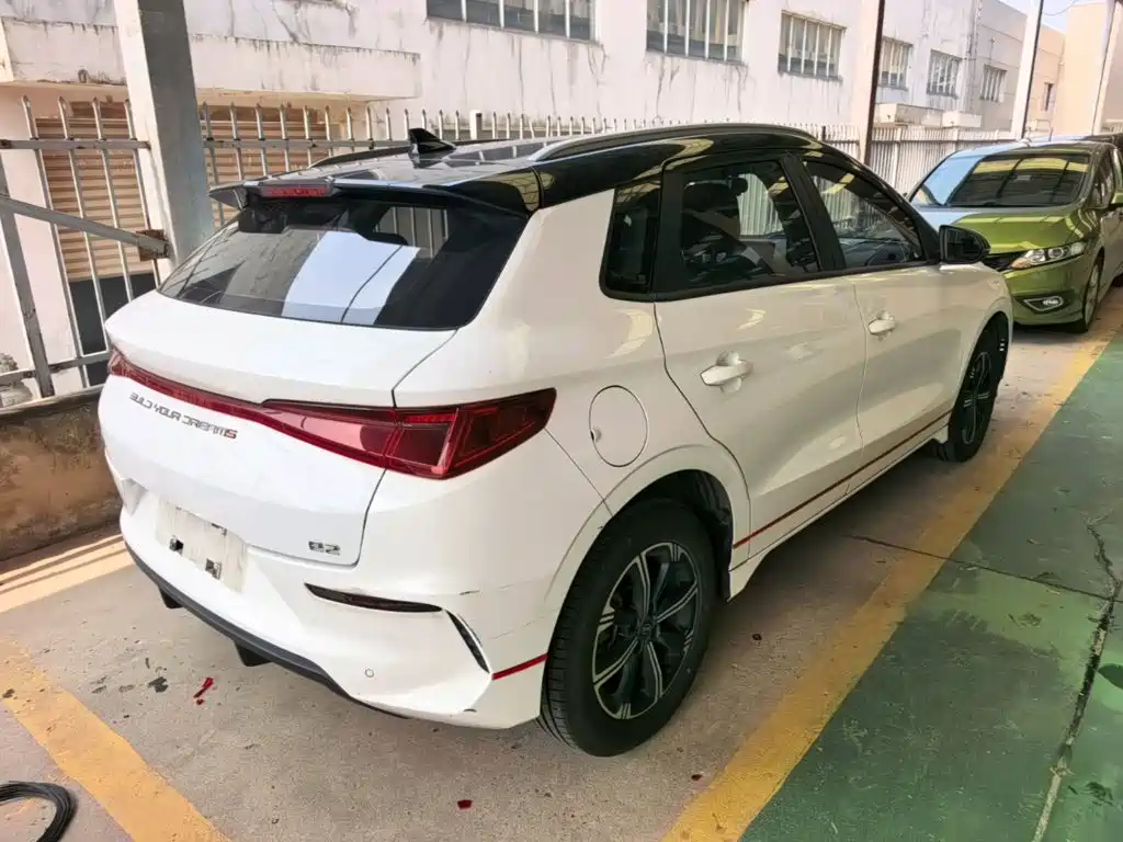BYD e2 2020