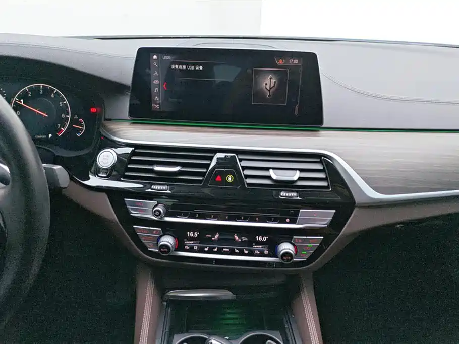 BMW 5 Series 2019 — фото 13