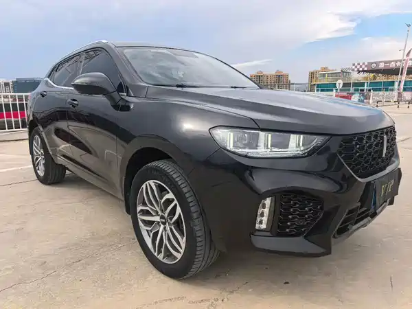 Wey VV5 2019
