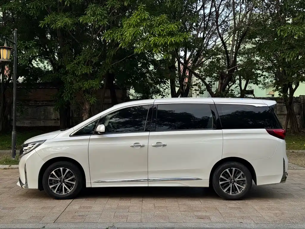 GAC Motor Trumpchi M8 2023 — фото 5