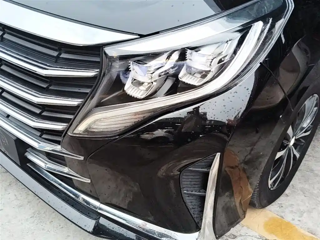 GAC Motor Trumpchi M8 2022 — фото 24