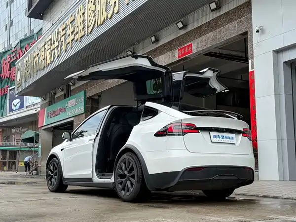 Tesla Model X 2023