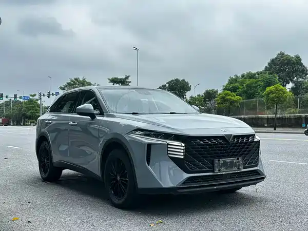 Venucia Big V 2022