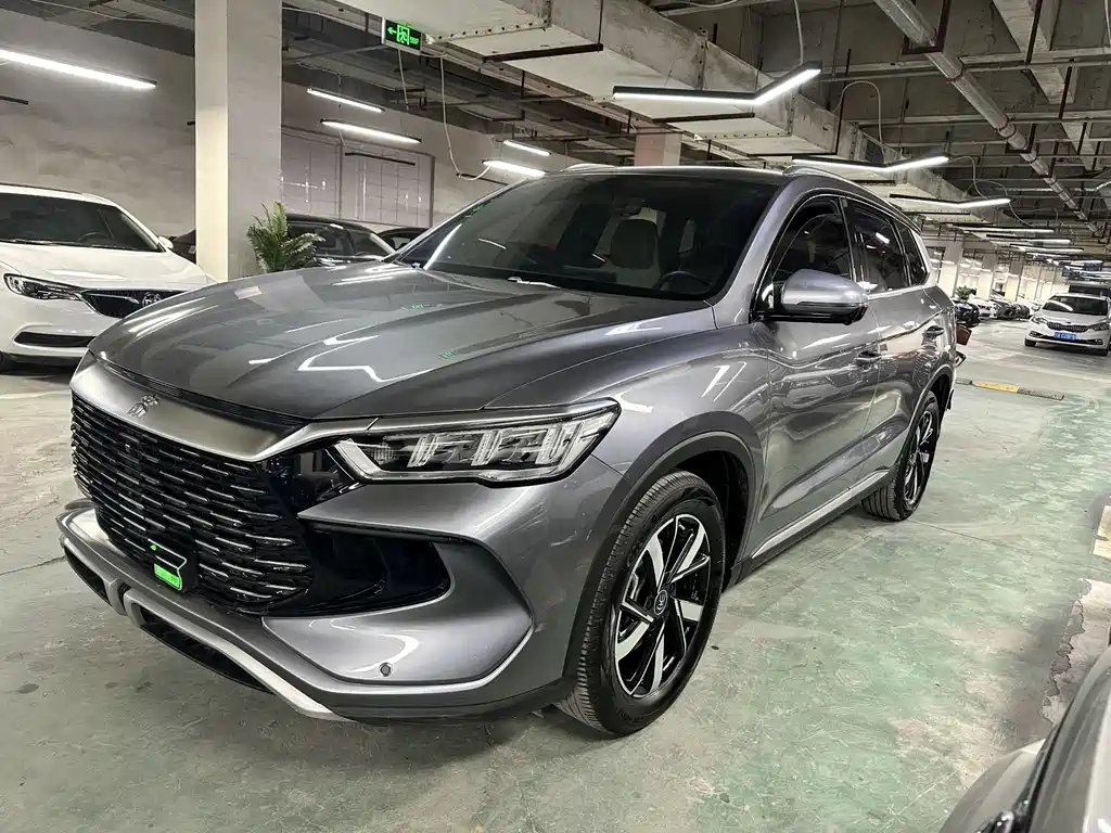 BYD Pro New Energy 2025 — фото 1