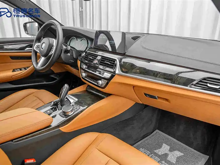 BMW 5 Series 2019 — фото 14