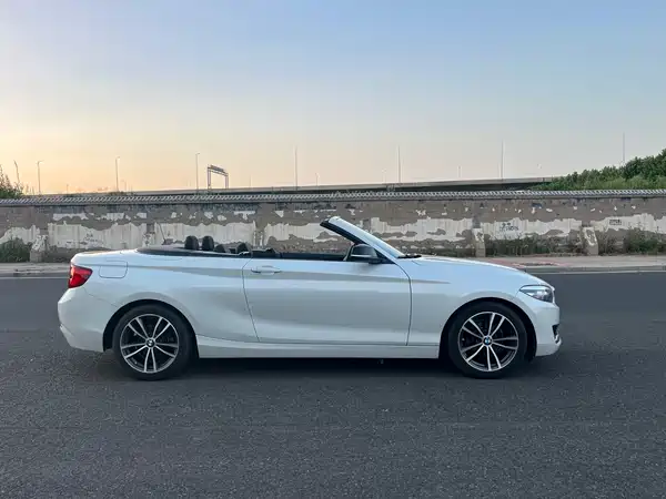 BMW 2 Series 2019