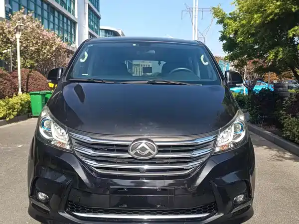 Maxus G10 2021