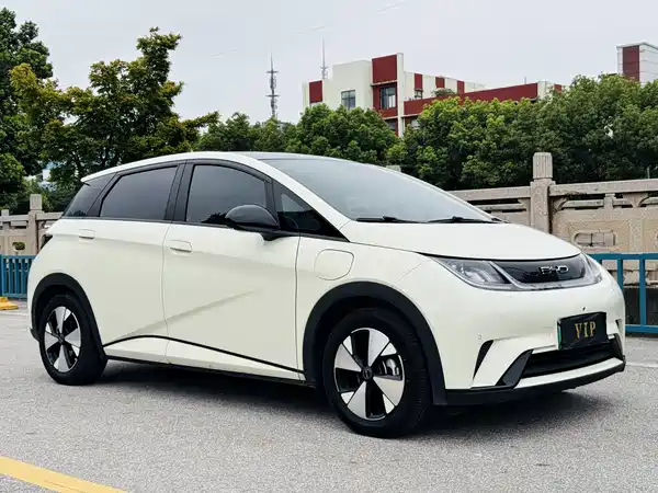 BYD Dolphin 2024