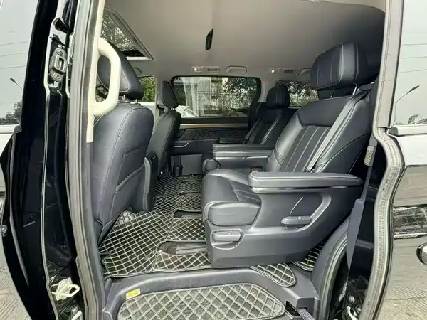 GAC Trumpchi M8 2020