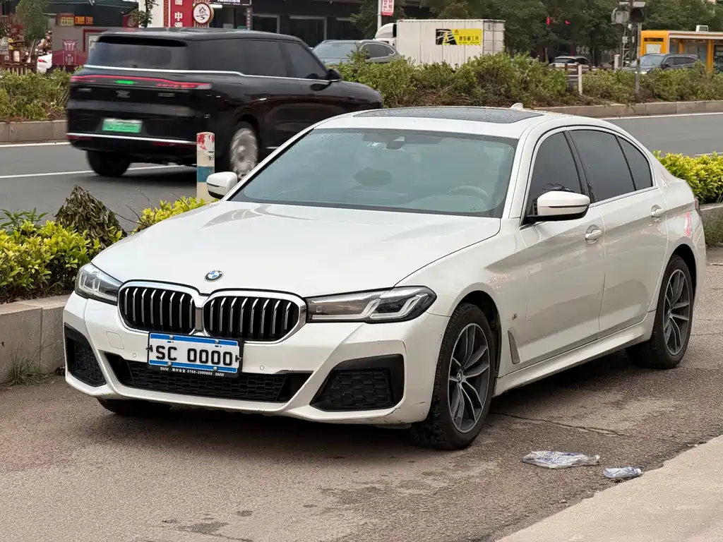 BMW 5 Series 2021