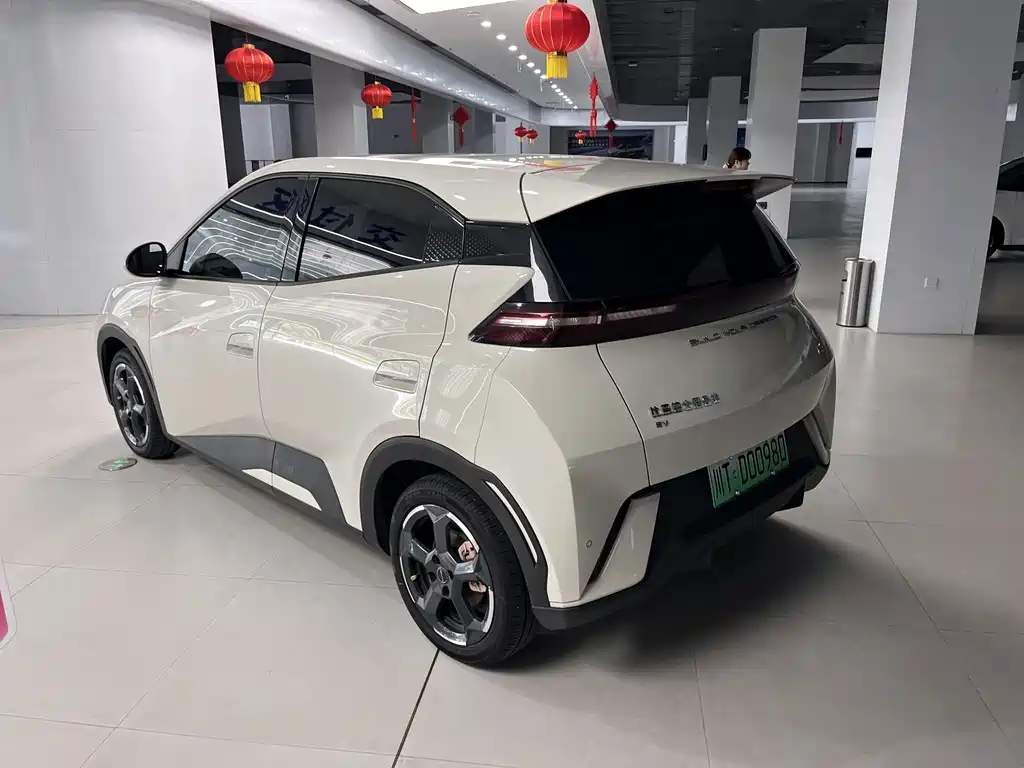 BYD Seagull 2024