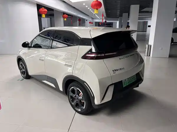 BYD Seagull 2024