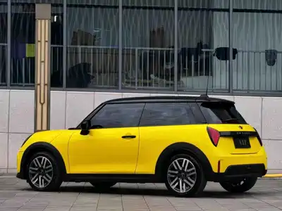 MINI MINI 2025