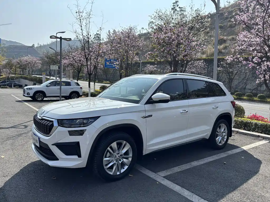 Skoda Kodiaq 2025 — фото 1