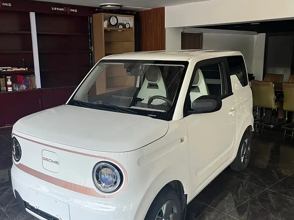 Geely Galaxy Panda 2024