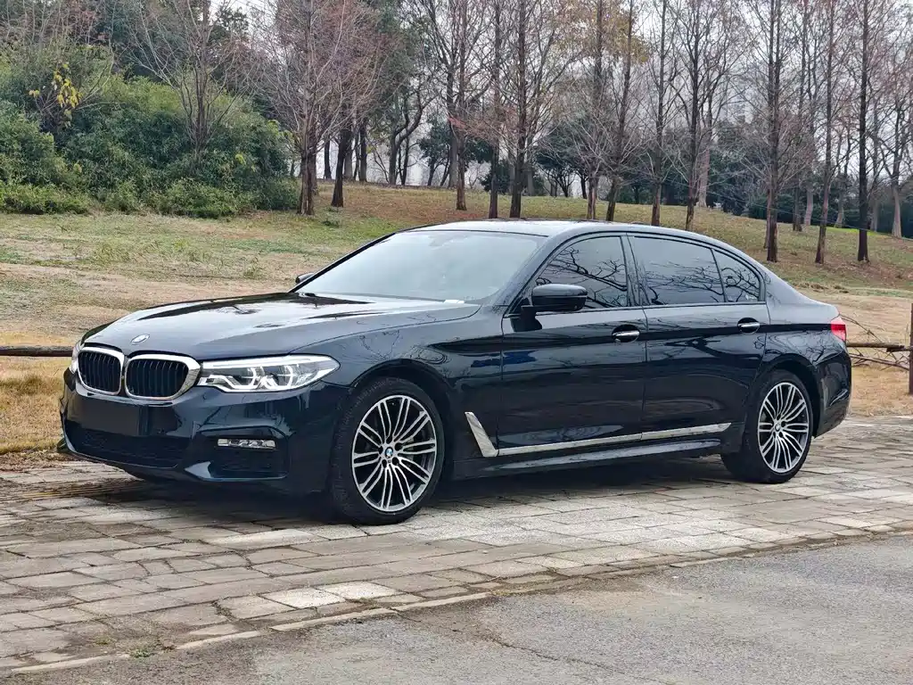 BMW 5 Series 2018 — фото 1