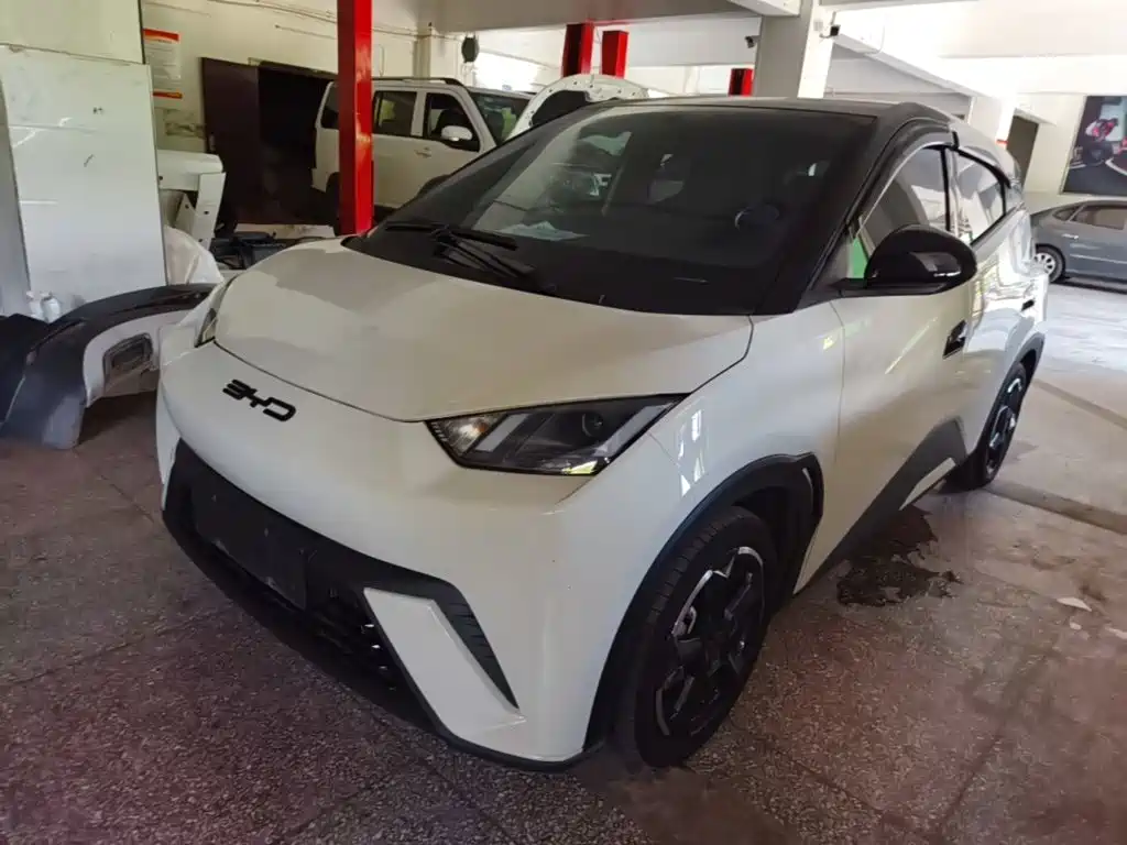 BYD Seagull 2024
