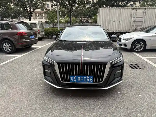 Hongqi H5 2024