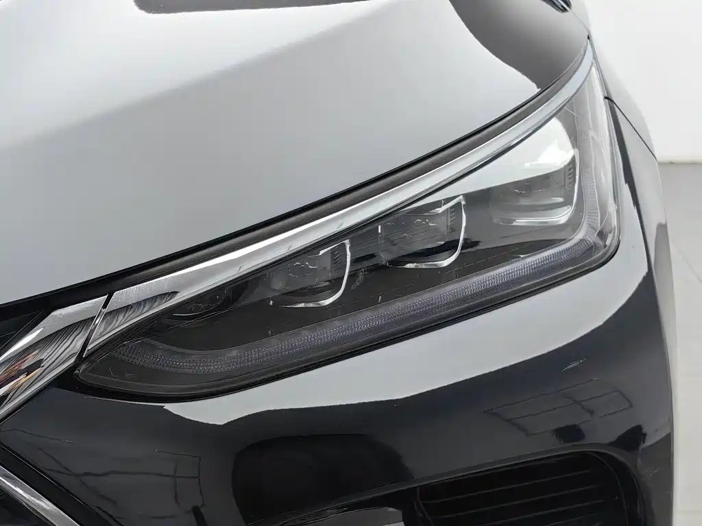 BYD Tang New Energy 2019 — фото 7