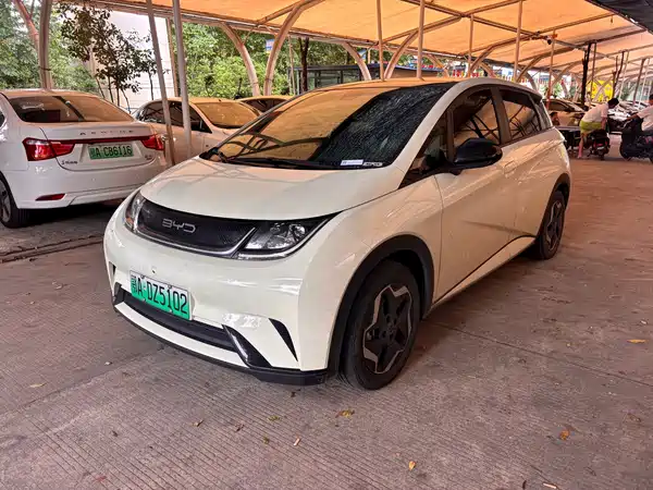 BYD Dolphin 2022