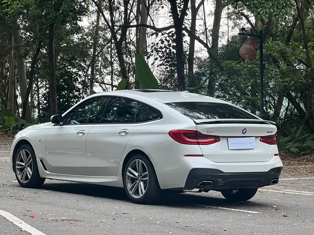 BMW 6 Series GT 2018 — фото 6