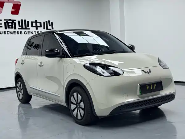Wuling Bingo 2024