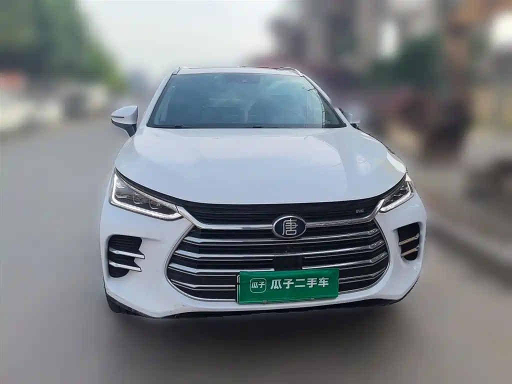 BYD Tang New Energy 2021 — фото 3