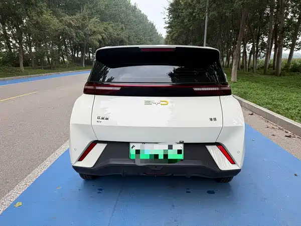BYD Seagull 2024
