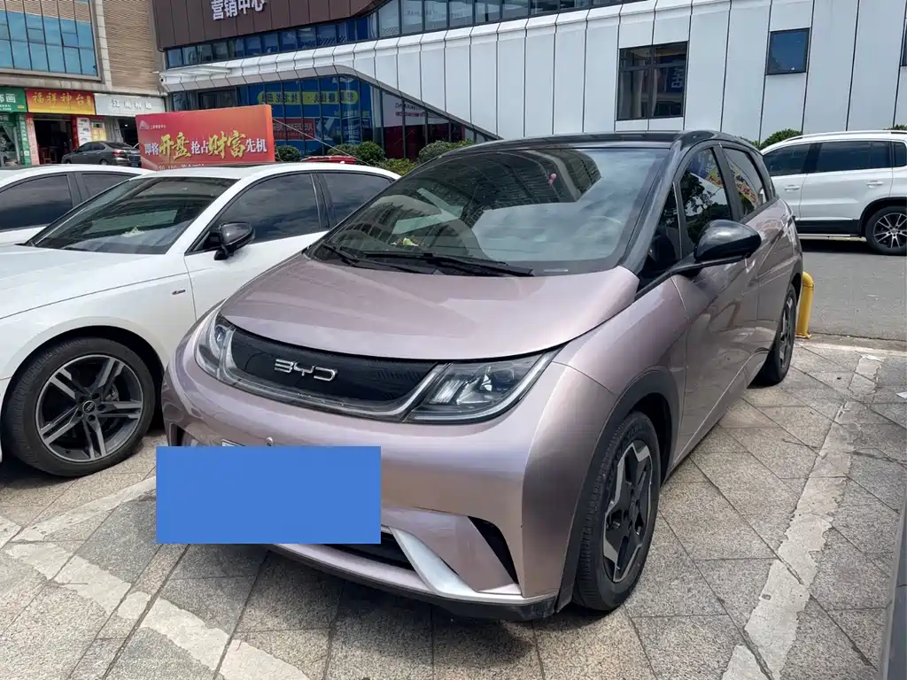 BYD Dolphin 2022
