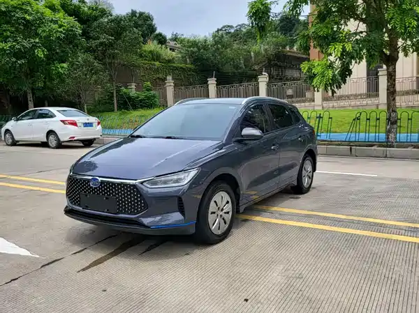 BYD e2 2020
