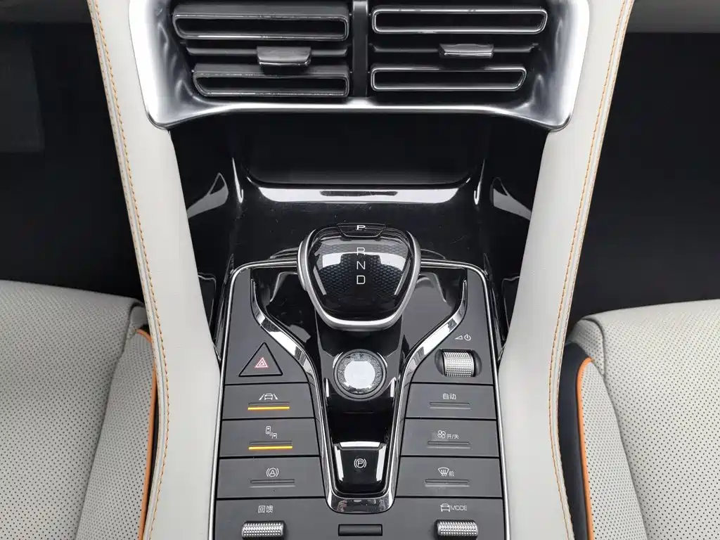 BYD Song PLUS New Energy 2022 — фото 13