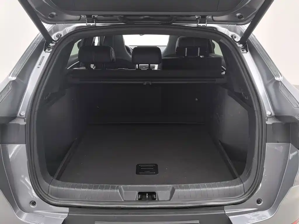 BYD Song PLUS New Energy 2022 — фото 16