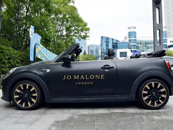 MINI MINI 2020
